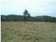 Tabulam NSW 2469