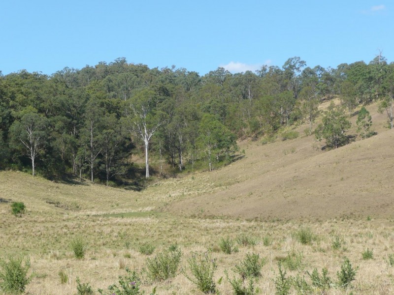 Kyogle NSW 2474