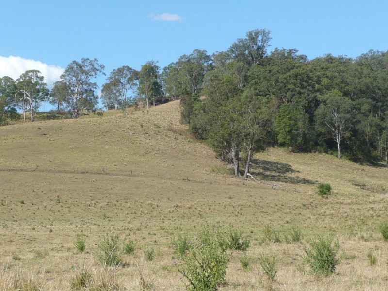 Kyogle NSW 2474