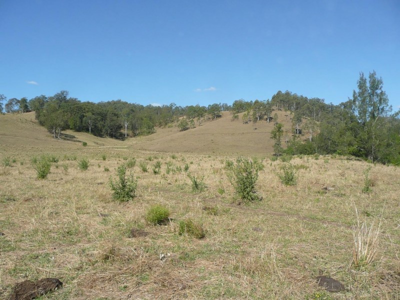 Kyogle NSW 2474