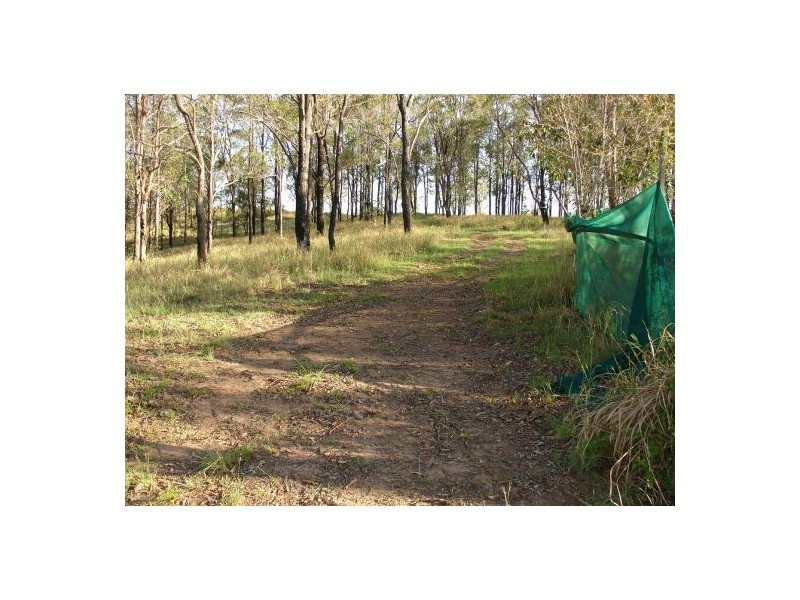 Lot 33 & 36 Clarence Way, Tabulam NSW 2469