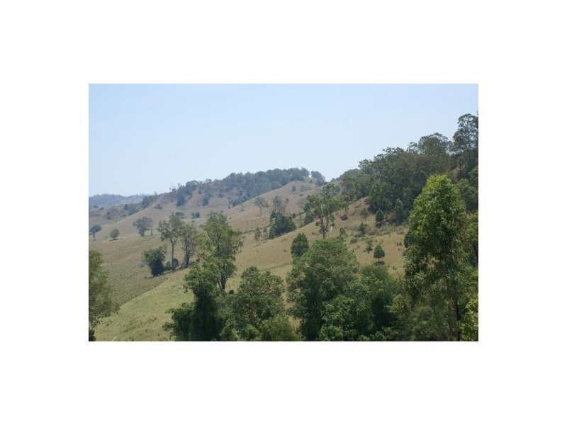 500 Back Creek Road, Kyogle NSW 2474