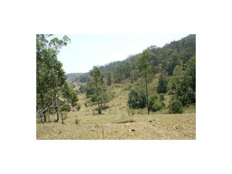 500 Back Creek Road, Kyogle NSW 2474