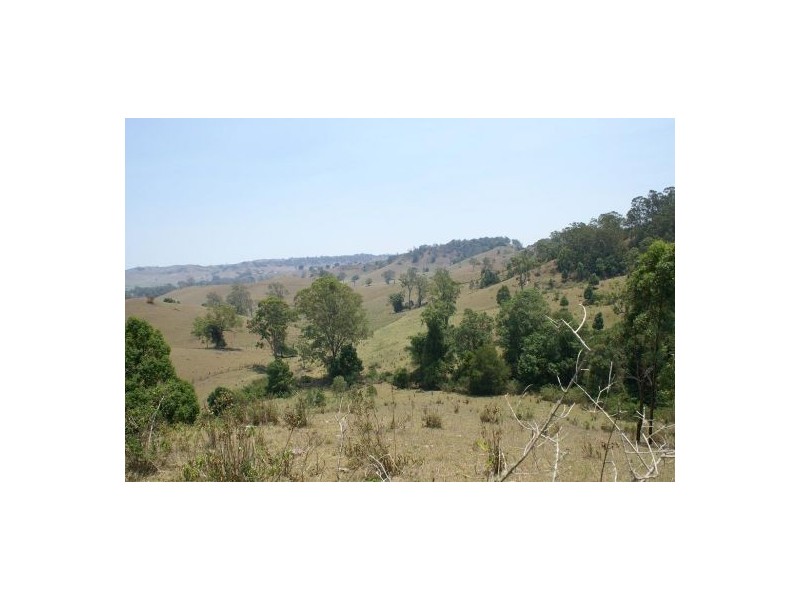 500 Back Creek Road, Kyogle NSW 2474