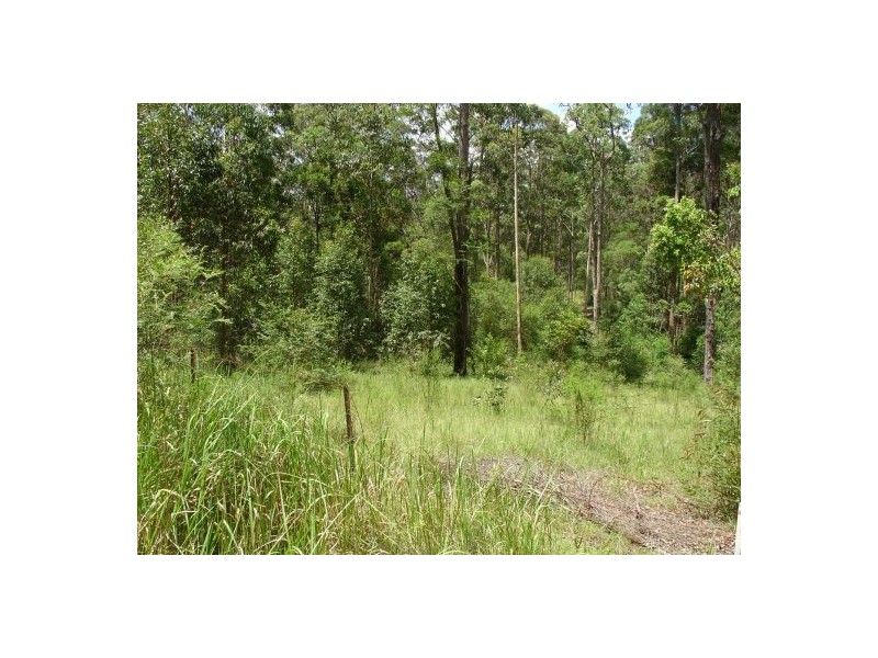 211 LONG GULLY ROAD, Drake NSW 2469