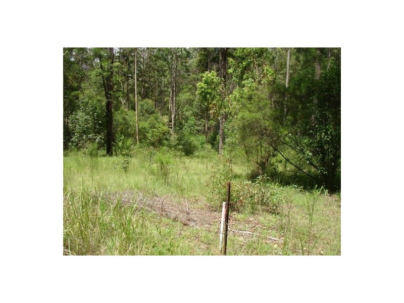 211 LONG GULLY ROAD, Drake NSW 2469