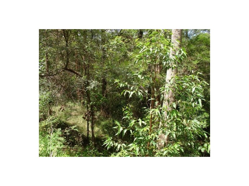 211 LONG GULLY ROAD, Drake NSW 2469