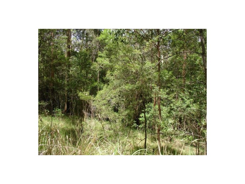 211 LONG GULLY ROAD, Drake NSW 2469