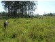 Lot 2 Summerland Way, Casino NSW 2470