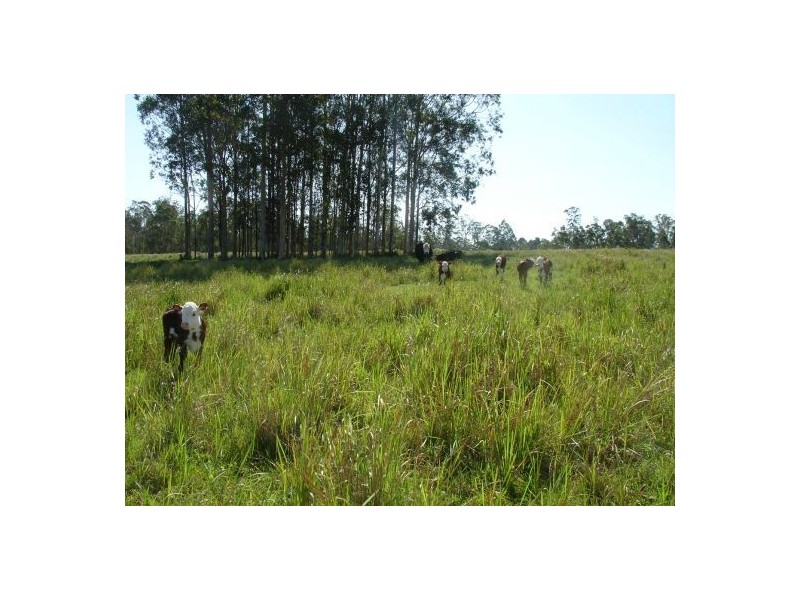 Lot 2 Summerland Way, Casino NSW 2470