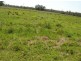 Lot 2 Summerland Way, Casino NSW 2470
