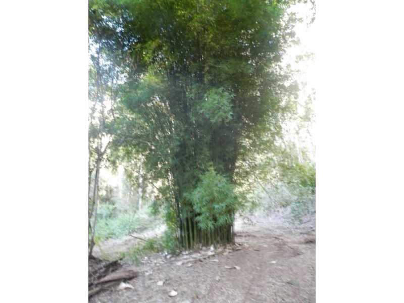 Lot 70 Old Lawrence Road, Mallanganee NSW 2469