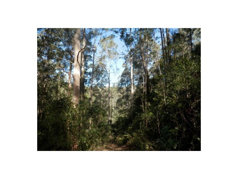 Lot 70 Old Lawrence Road, Mallanganee NSW 2469