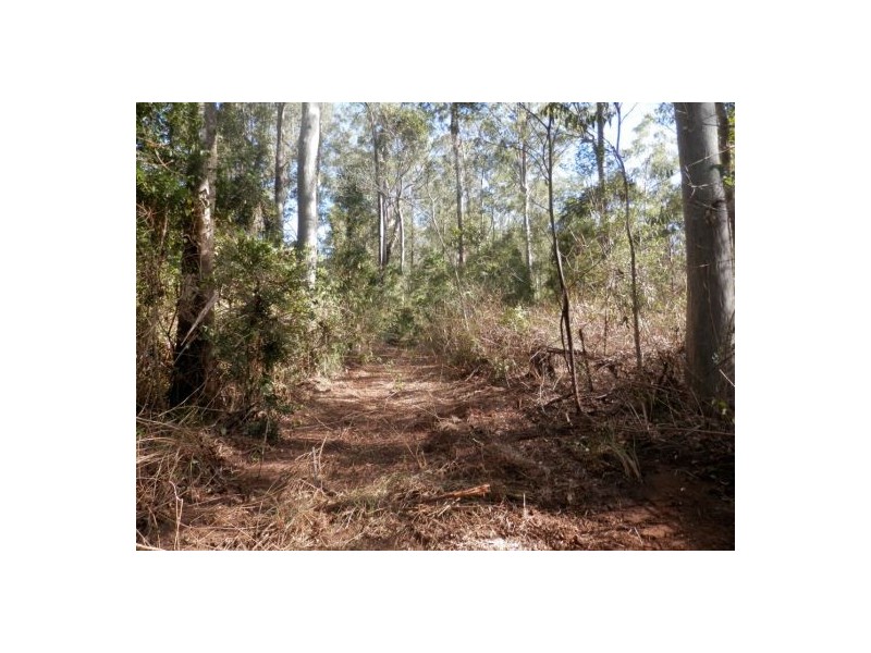 Lot 70 Old Lawrence Road, Mallanganee NSW 2469