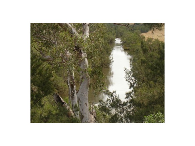 1252 Tabulam Road, Tabulam NSW 2469