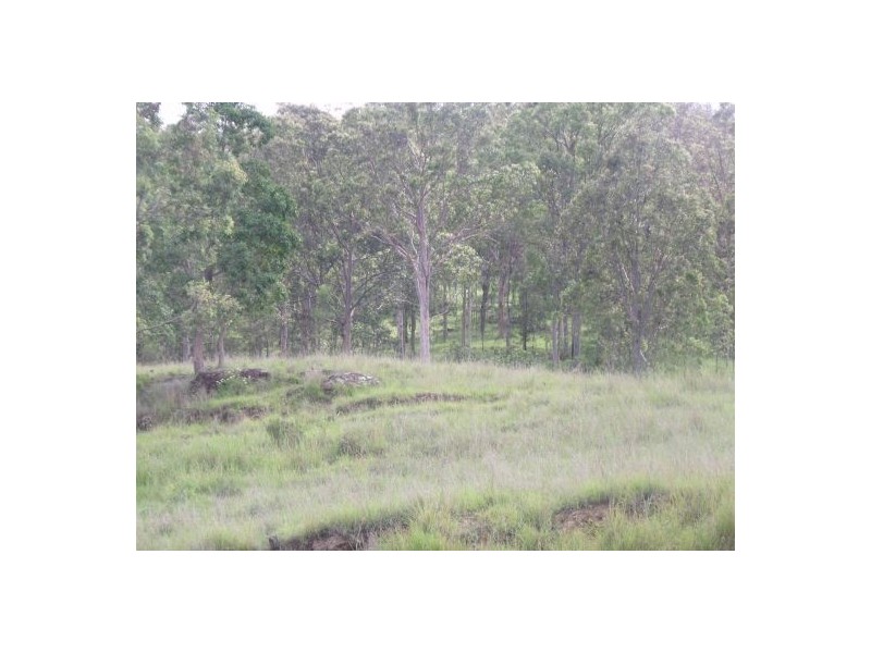 1252 Tabulam Road, Tabulam NSW 2469