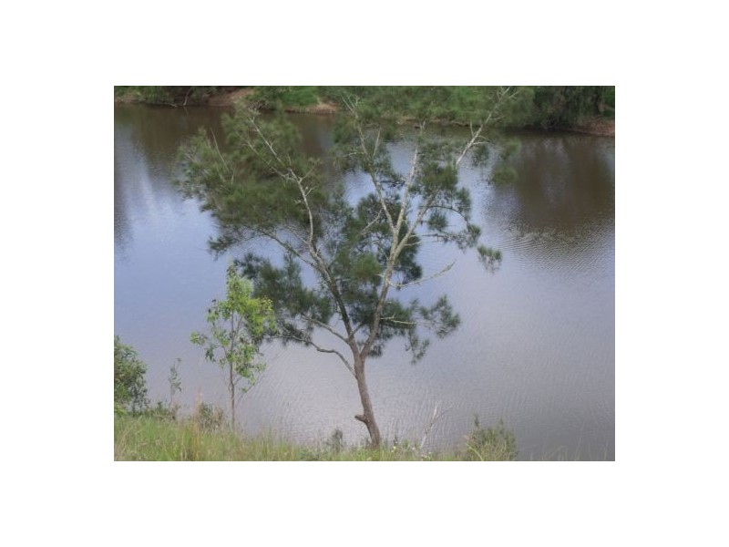 1252 Tabulam Road, Tabulam NSW 2469