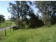 1252 Tabulam Road, Tabulam NSW 2469