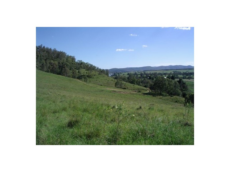 1252 Tabulam Road, Tabulam NSW 2469