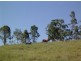 Lot 20 / 1252 Tabulam Road, Tabulam NSW 2469