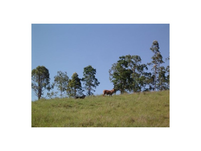 Lot 20 / 1252 Tabulam Road, Tabulam NSW 2469