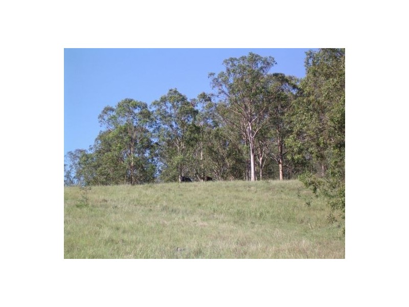 Lot 20 / 1252 Tabulam Road, Tabulam NSW 2469