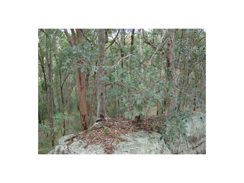 Lot 20 / 1252 Tabulam Road, Tabulam NSW 2469