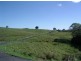 Lot 20 / 1252 Tabulam Road, Tabulam NSW 2469