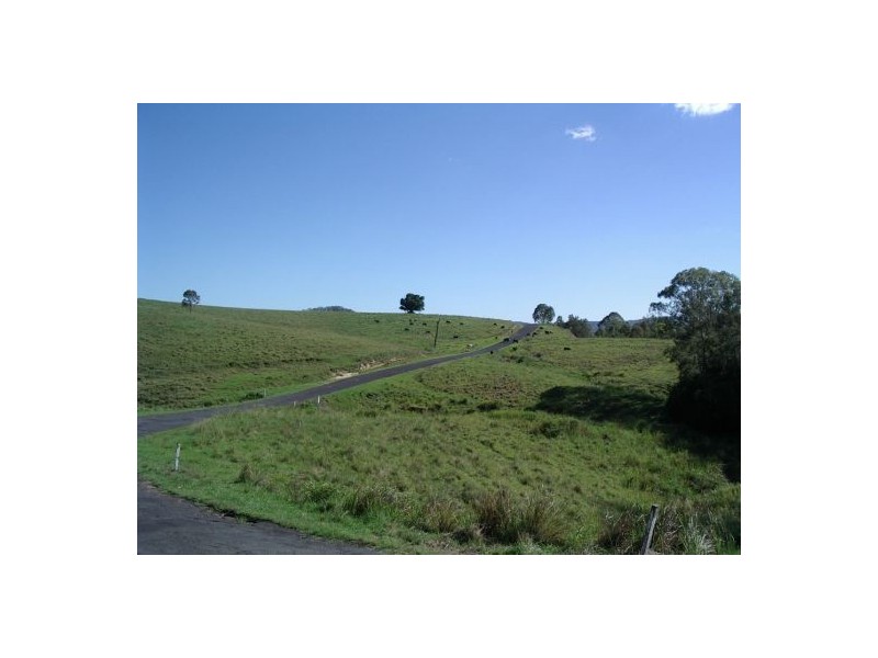 Lot 20 / 1252 Tabulam Road, Tabulam NSW 2469