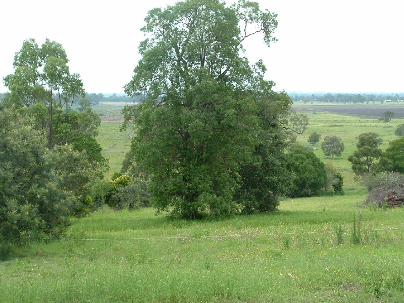 North Casino NSW 2470