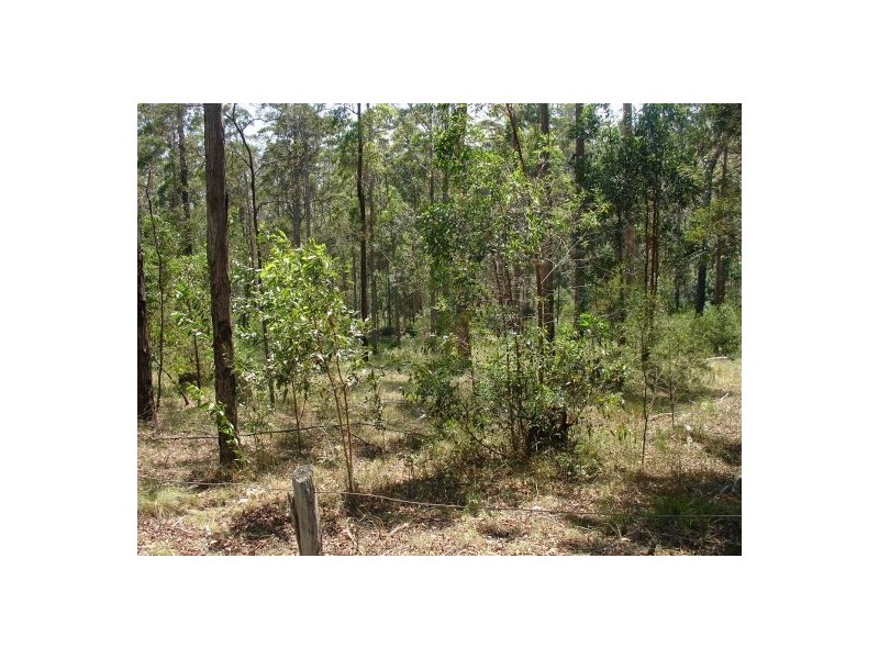 Lot 213/ 21 Long Gully Rd, Drake NSW 2469