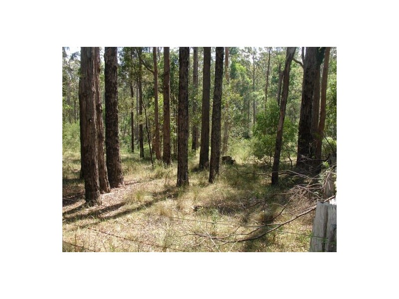 Lot 213/ 21 Long Gully Rd, Drake NSW 2469