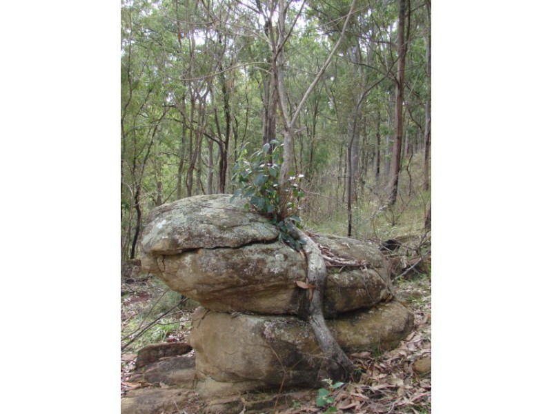 Lot 3,4,5,6,7,8 1252 Tabulam Rd, Tabulam NSW 2469