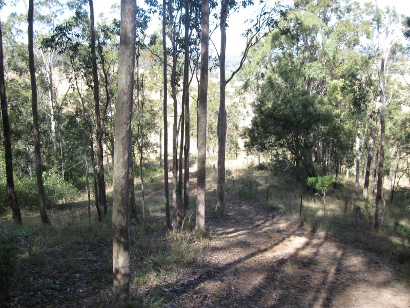 Lot 3,4,5,6,7,8 1252 Tabulam Rd, Tabulam NSW 2469