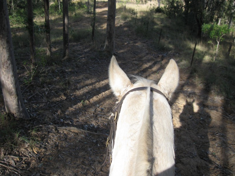 Lot 3,4,5,6,7,8 1252 Tabulam Rd, Tabulam NSW 2469