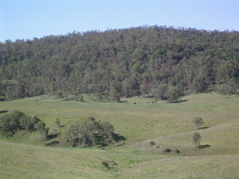 Lot 3,4,5,6,7,8 1252 Tabulam Rd, Tabulam NSW 2469