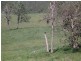 Lot 3,4,5,6,7,8 1252 Tabulam Rd, Tabulam NSW 2469