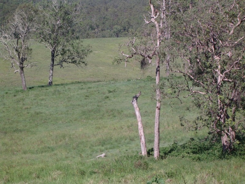 Lot 3,4,5,6,7,8 1252 Tabulam Rd, Tabulam NSW 2469