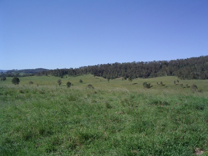 Lot 3,4,5,6,7,8 1252 Tabulam Rd, Tabulam NSW 2469