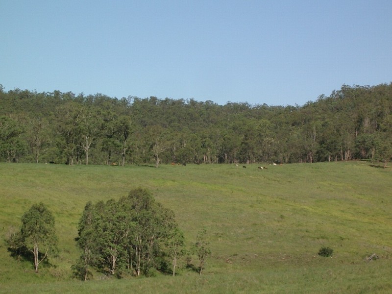 Lot 3,4,5,6,7,8 1252 Tabulam Rd, Tabulam NSW 2469