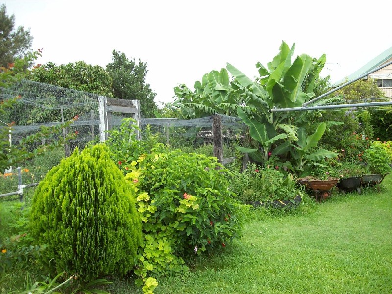 Wiangaree NSW 2474
