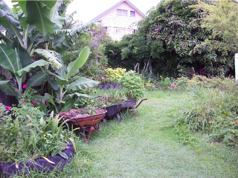Wiangaree NSW 2474