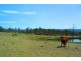 Tabulam NSW 2469