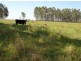 Lot 59 Summerland Way, Rappville NSW 2469