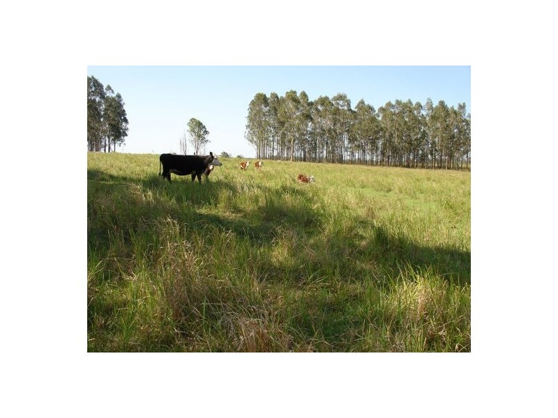 Lot 59 Summerland Way, Rappville NSW 2469