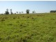 Lot 59 Summerland Way, Rappville NSW 2469