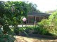 1021 Long Gully Road, Drake NSW 2469