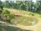 1021 Long Gully Road, Drake NSW 2469