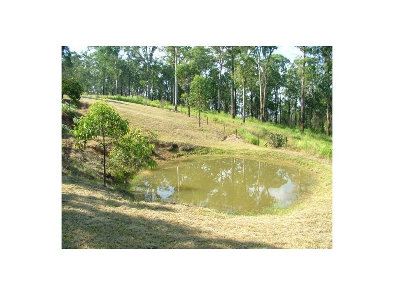 1021 Long Gully Road, Drake NSW 2469