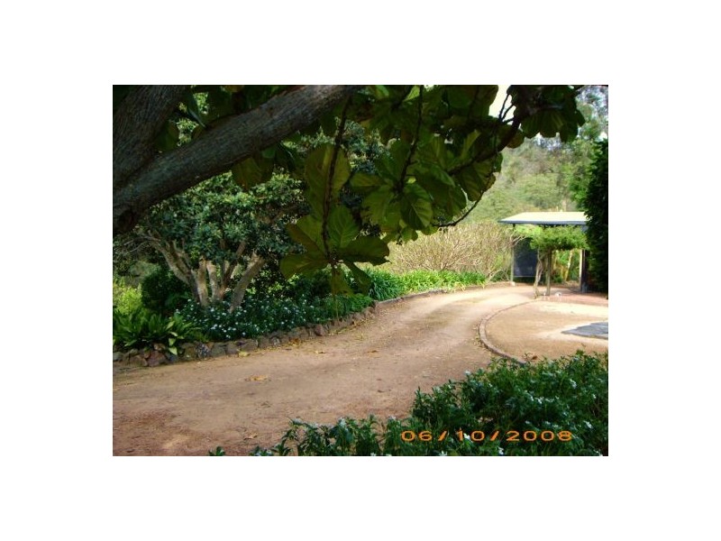 1021 Long Gully Road, Drake NSW 2469